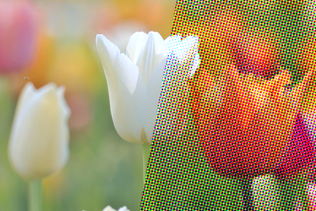 ColorHalftoneのスクリーンショット 1
