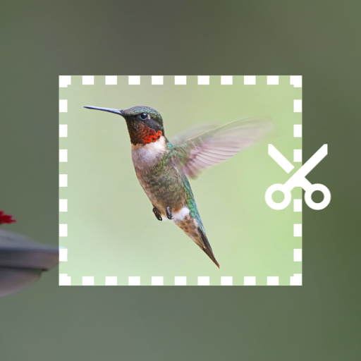 ImageCropExport