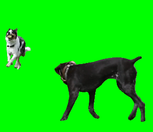 1クリック動画切り抜き