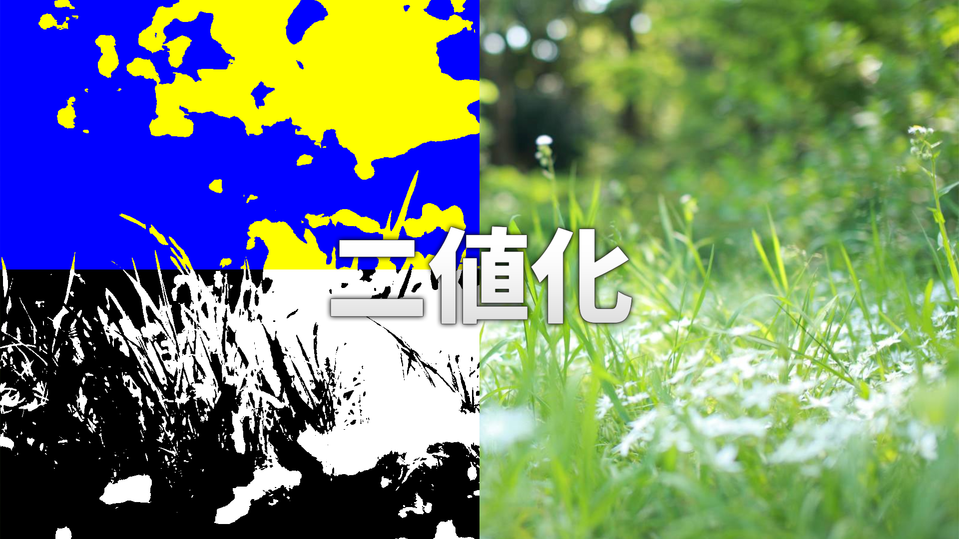 二色化