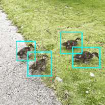 MotionTracking MK-II Plus for AviUtl2