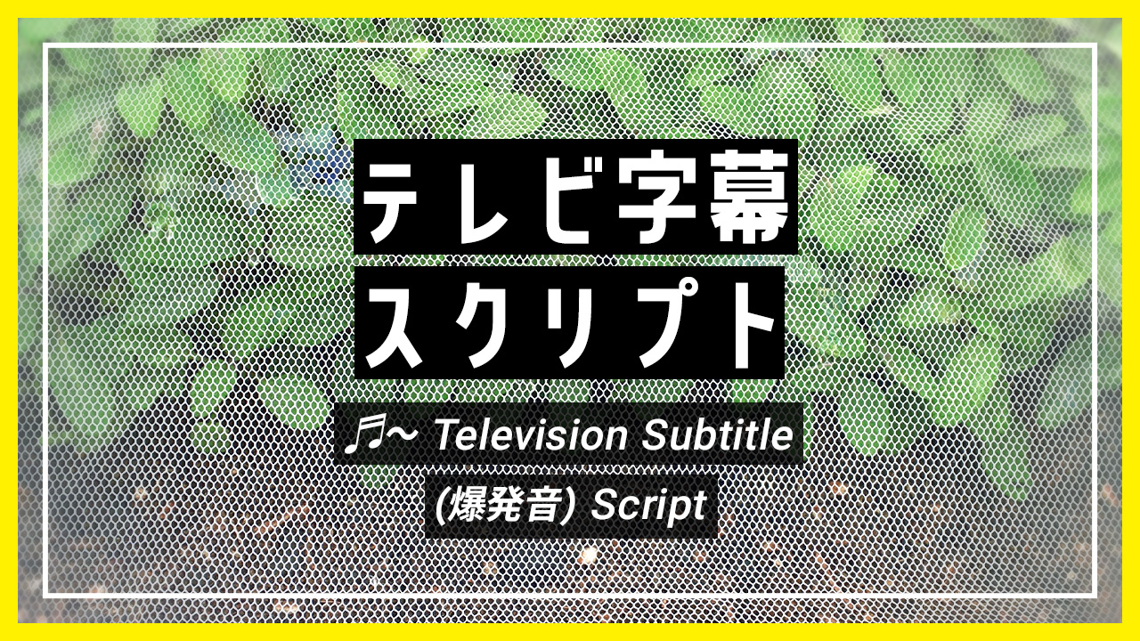 テレビ字幕のスクリーンショット 1